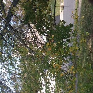 Meet your Posher, Domna